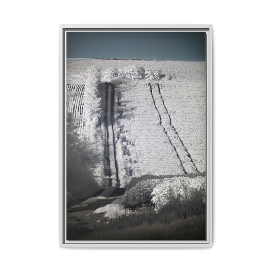 Canvas Wraps - Infrared Fine Art Landscape Photography Decor