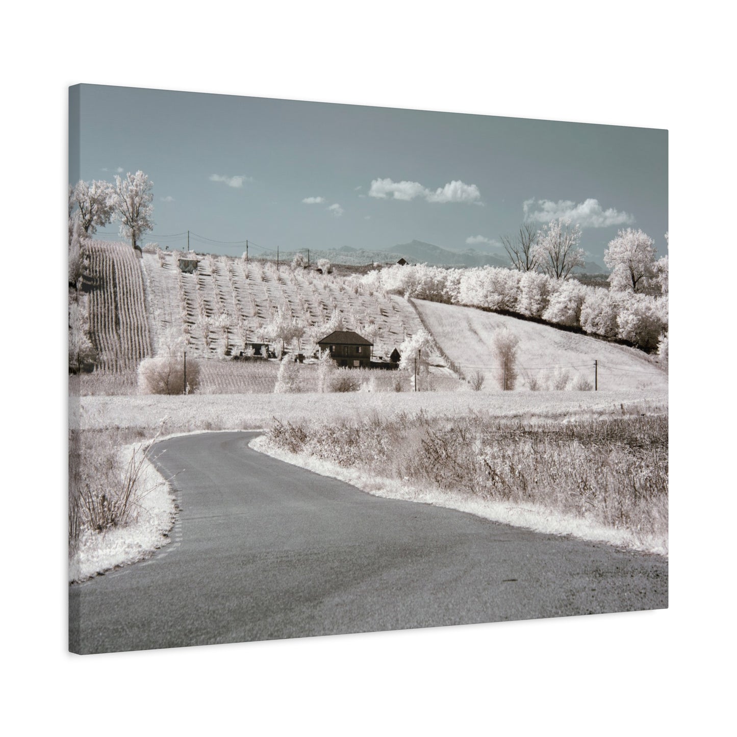 The house in the garden under infrared light Matte Canvas, Stretched, 1.25"