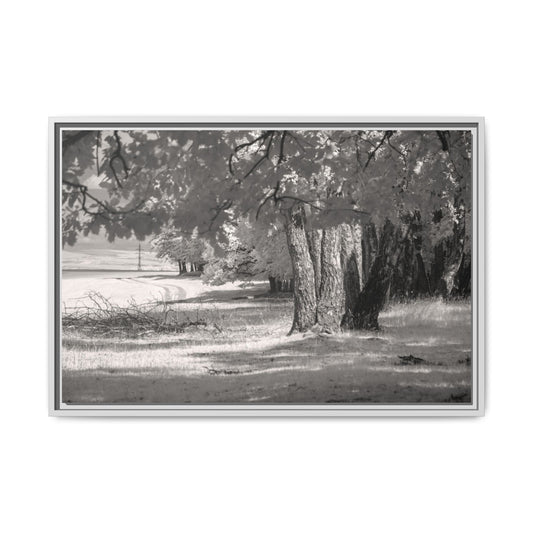 Infrared photography Fine Art Canvas Wrap