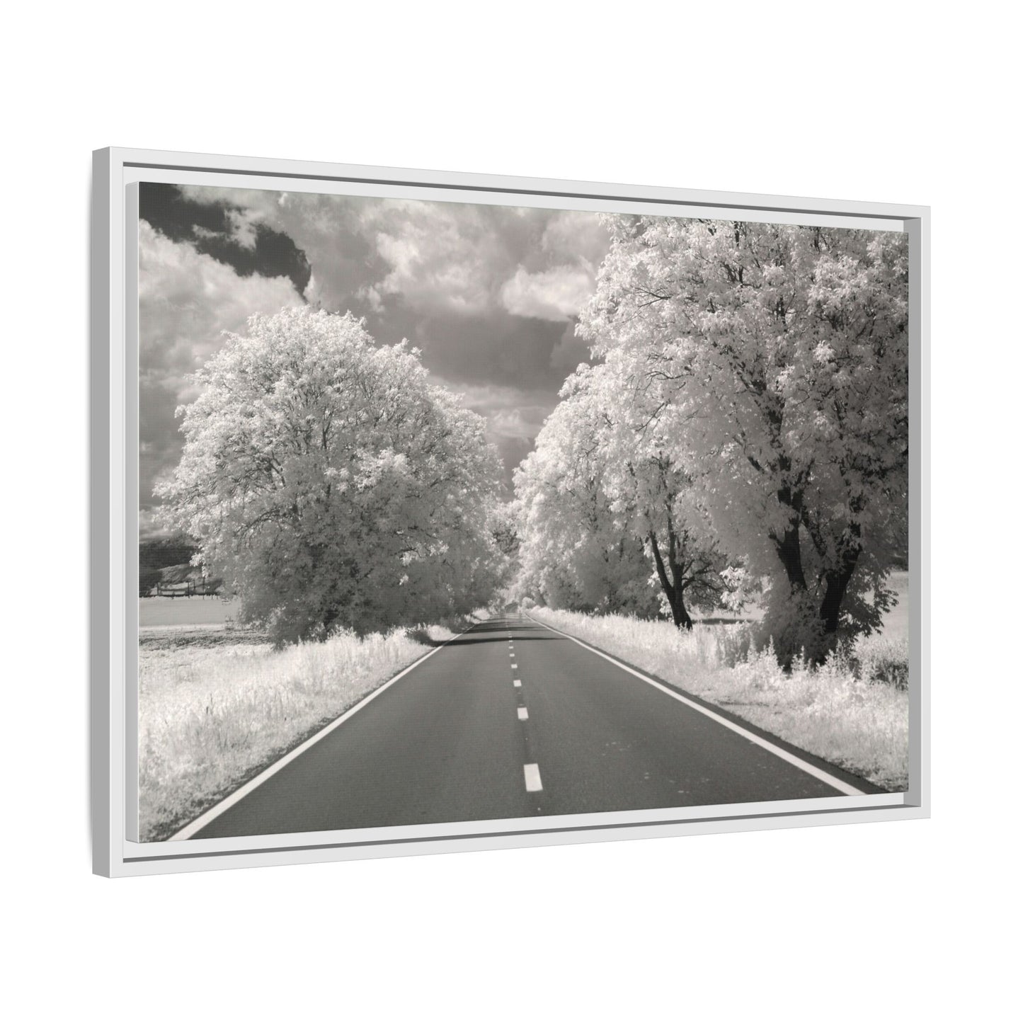 Canvas Wrap Infrared Photography Fine Art