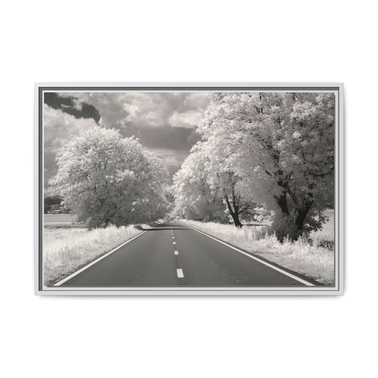 Canvas Wrap Infrared Photography Fine Art