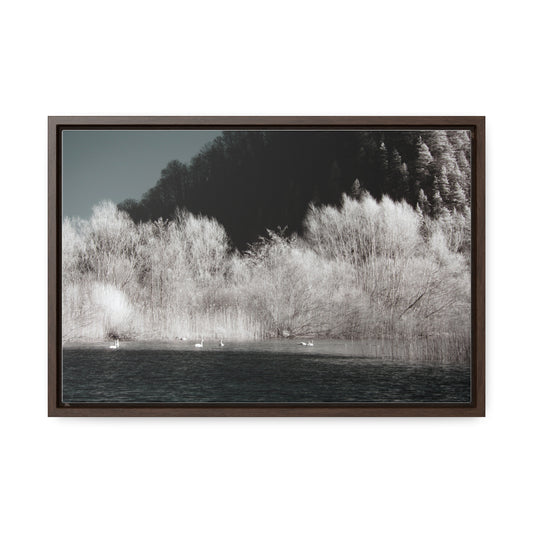 Infrared landscape photograph Canvas Wrap