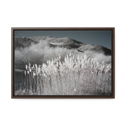 Infrared landscape photograph Canvas Wrap