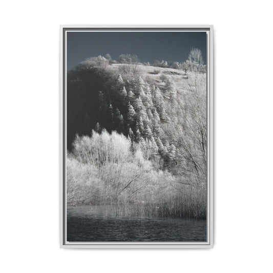 Infrared landscape photography (4)