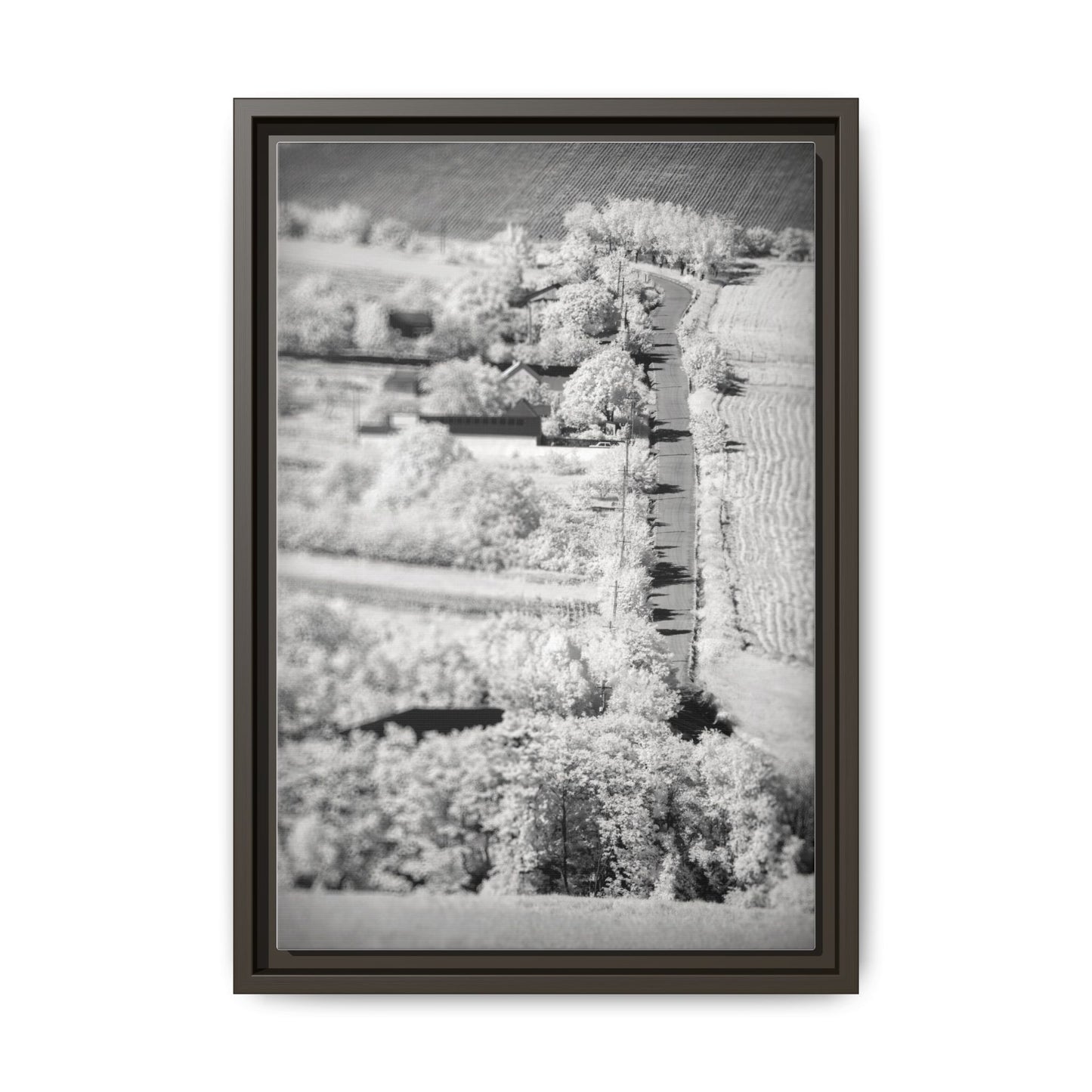 Canvas Wall Art Infrared Landscape Photography Fineart