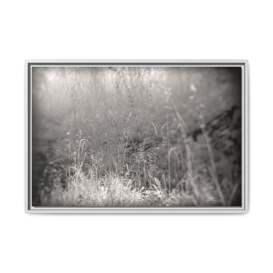 Infrared photography vegetal world Fine Art Canvas Wrap