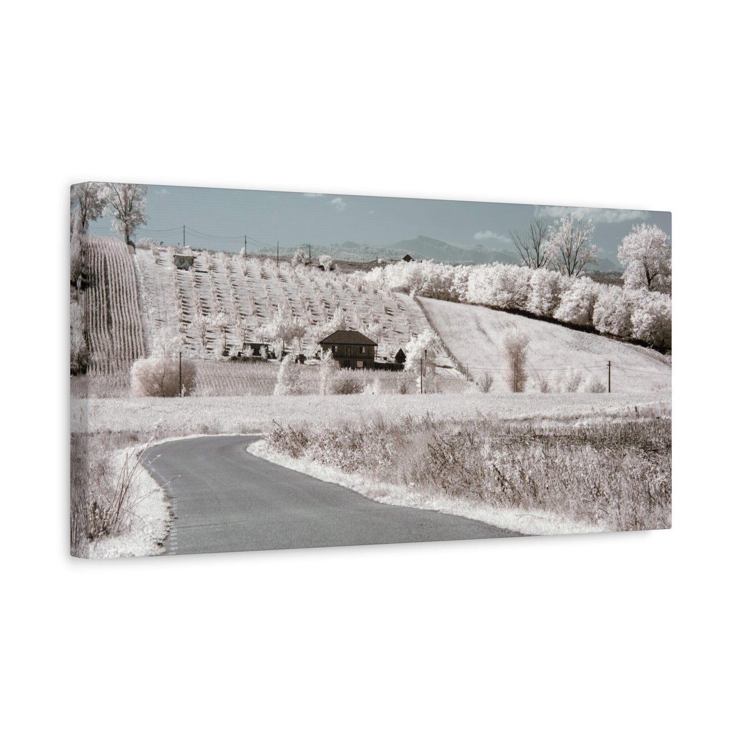 The house in the garden under infrared light Matte Canvas, Stretched, 1.25"