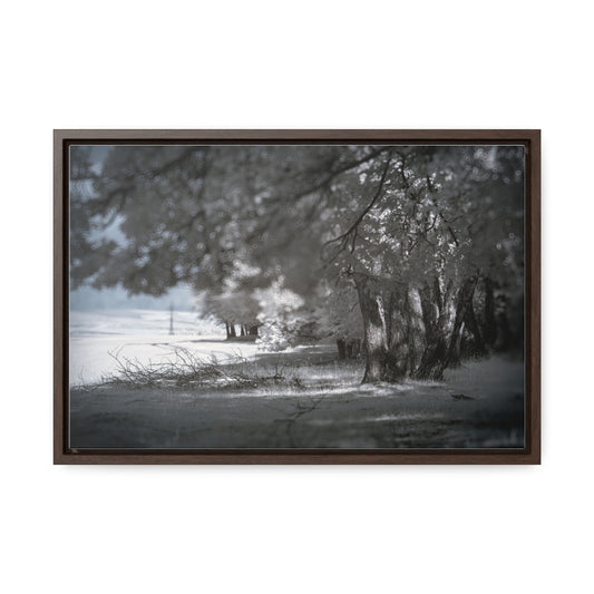 Infrared landscape photography fine-art Canvas Wraps