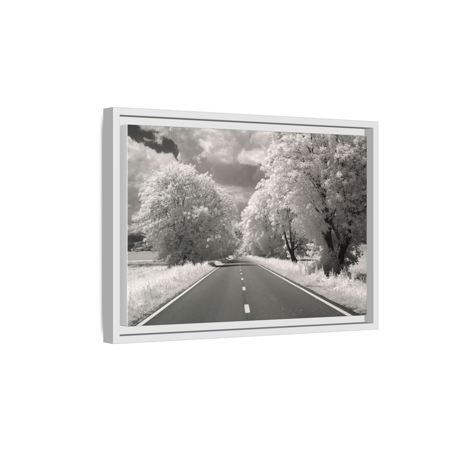 Canvas Wrap Infrared Photography Fine Art