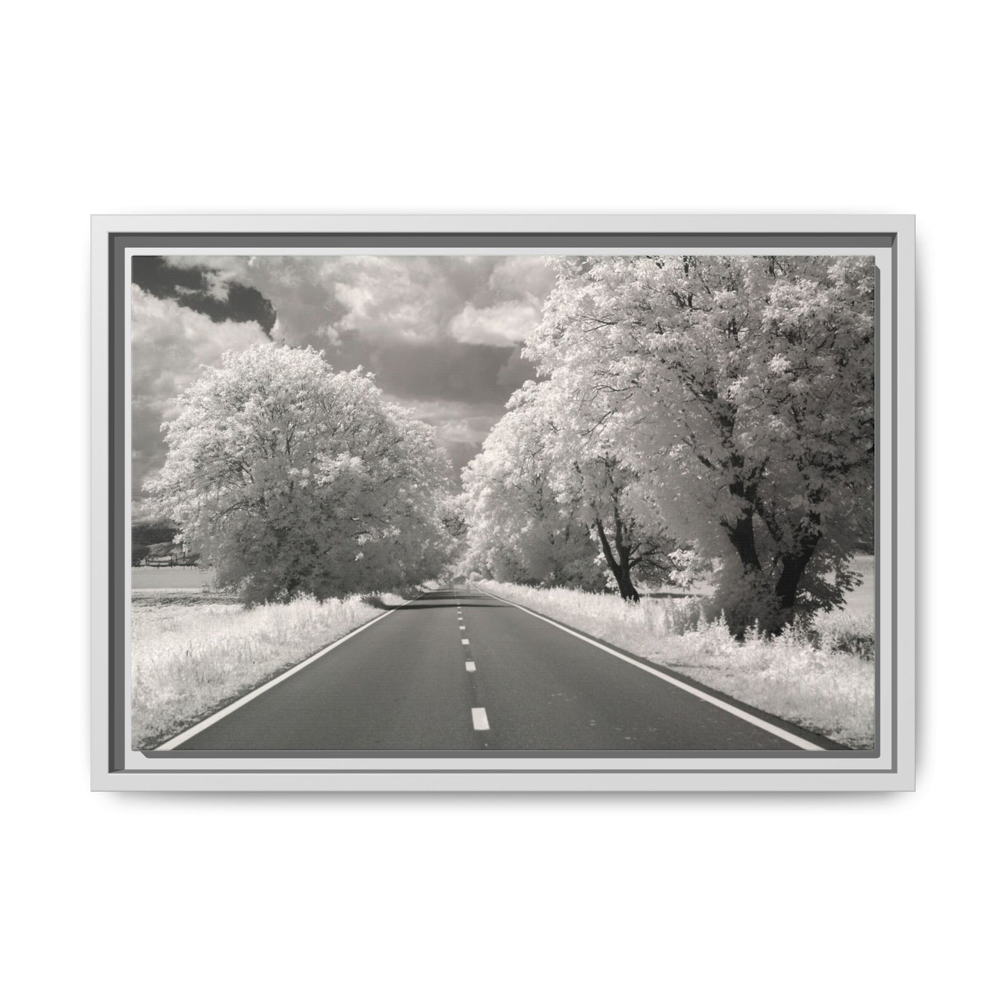 Canvas Wrap Infrared Photography Fine Art