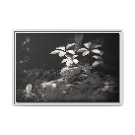 Infrared photography vegetal world Fine Art Canvas Wrap