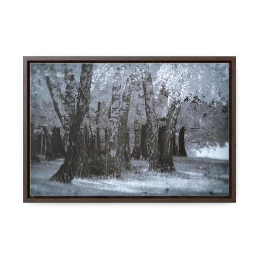 Infrared landscape photography fine-art Canvas Wraps