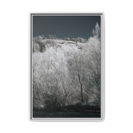 Infrared landscape photography (7)