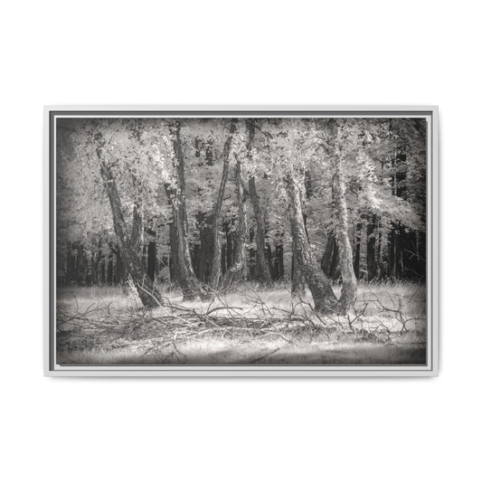 Infrared photography Fine Art Canvas Wrap