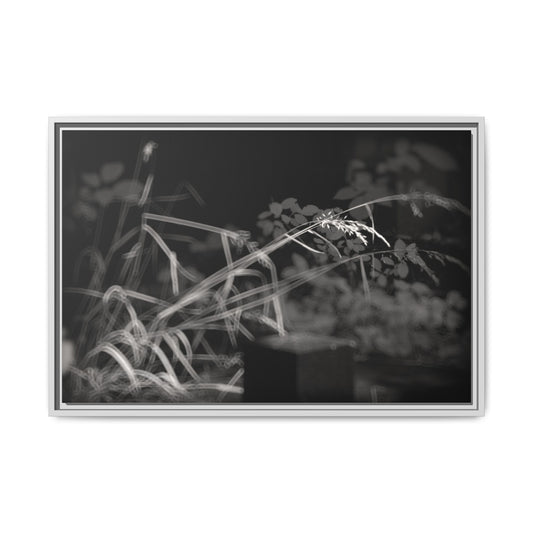 Infrared photography vegetal world Fine Art Canvas Wrap