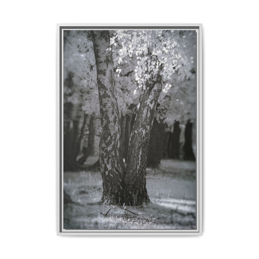 Canvas Wraps - Infrared Fine Art Landscape Photography Decor