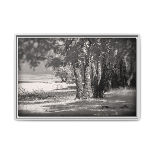 Infrared photography Fine Art Canvas Wrap