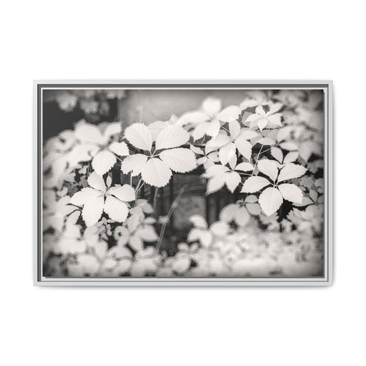 Infrared photography vegetal world Fine Art Canvas Wrap