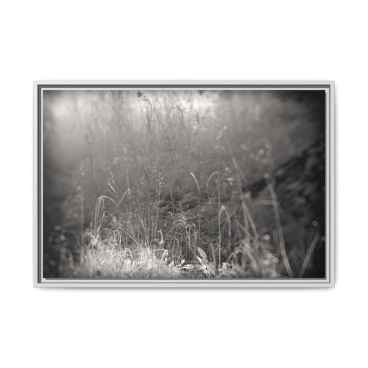 Infrared photography vegetal world Fine Art Canvas Wrap