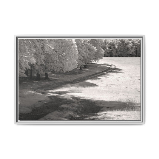 Infrared photography Fine Art Canvas Wrap