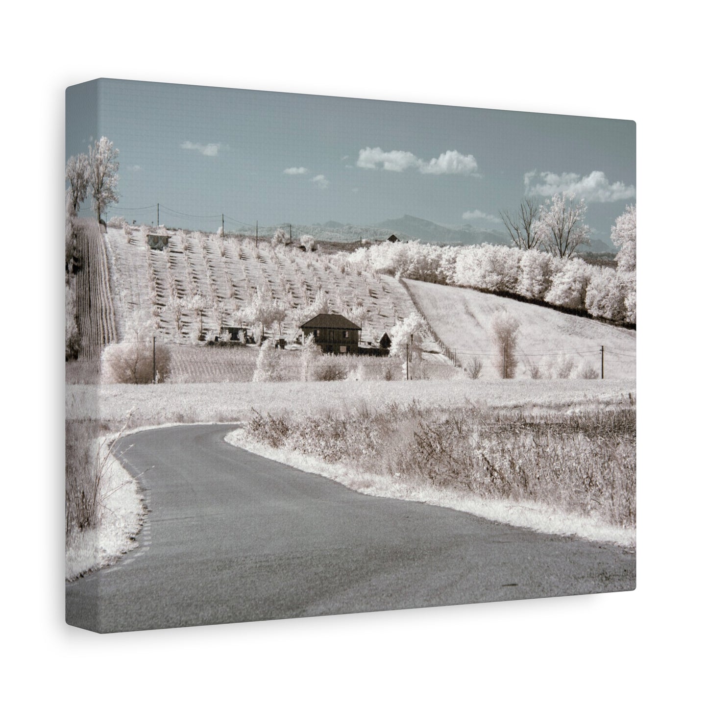 The house in the garden under infrared light Matte Canvas, Stretched, 1.25"