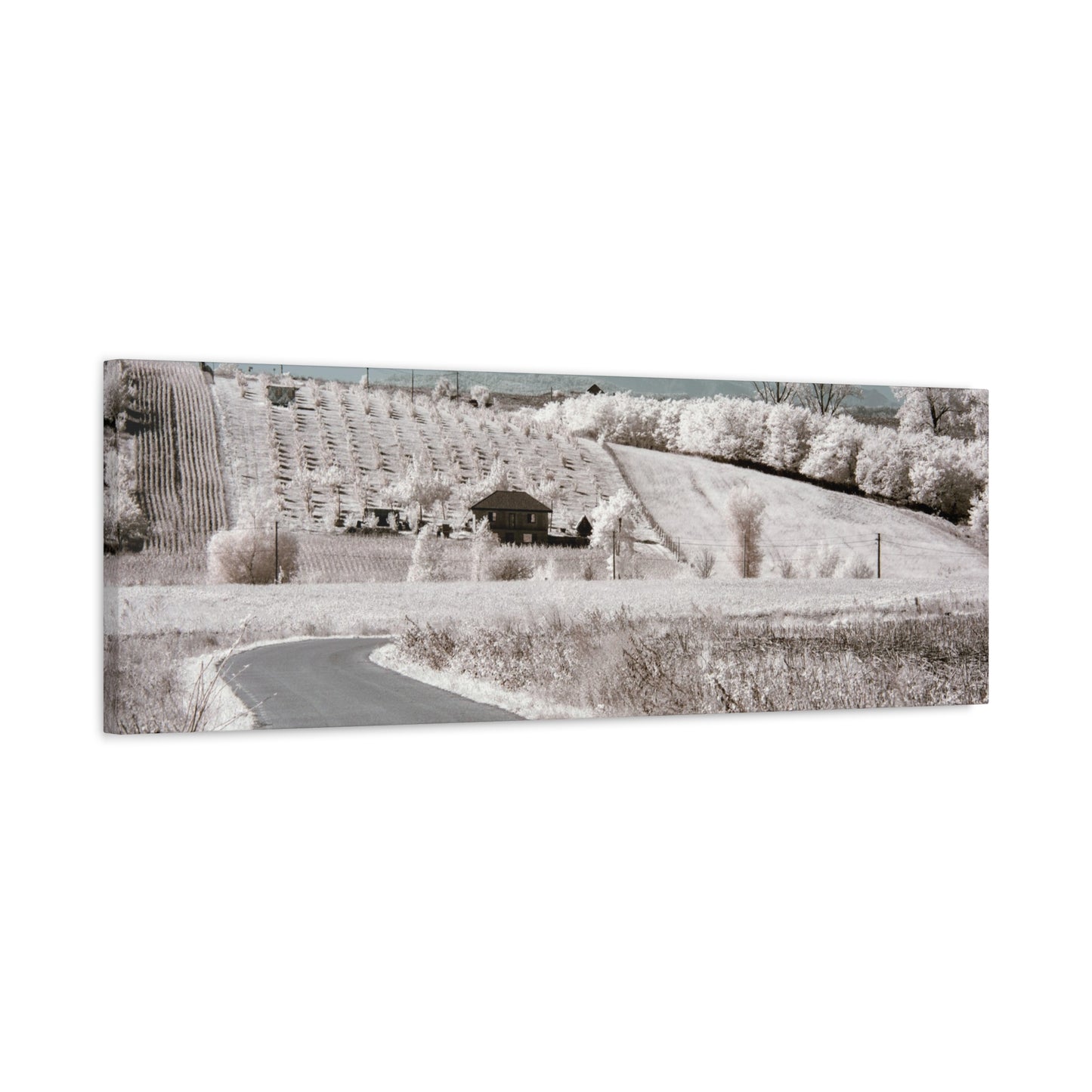 The house in the garden under infrared light Matte Canvas, Stretched, 1.25"